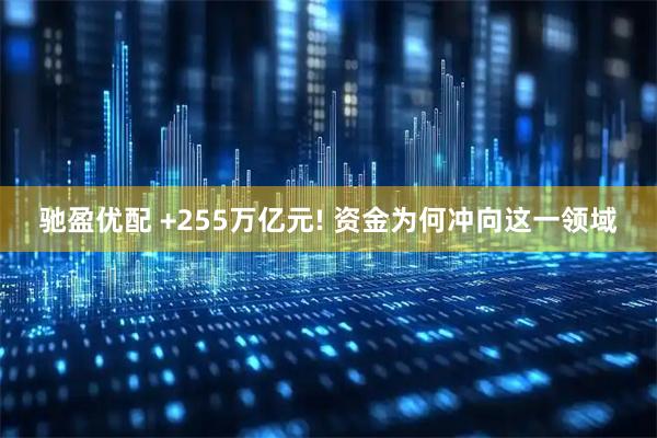 驰盈优配 +255万亿元! 资金为何冲向这一领域